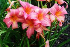IMG_20230819_142413