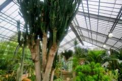 IMG_20230819_1505462