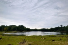 IMG_20230824_152033